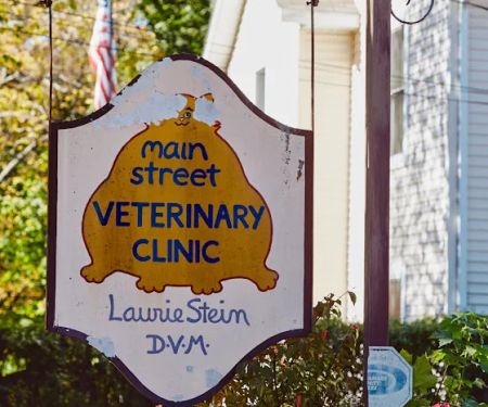 Main Street Veterinary Clinic