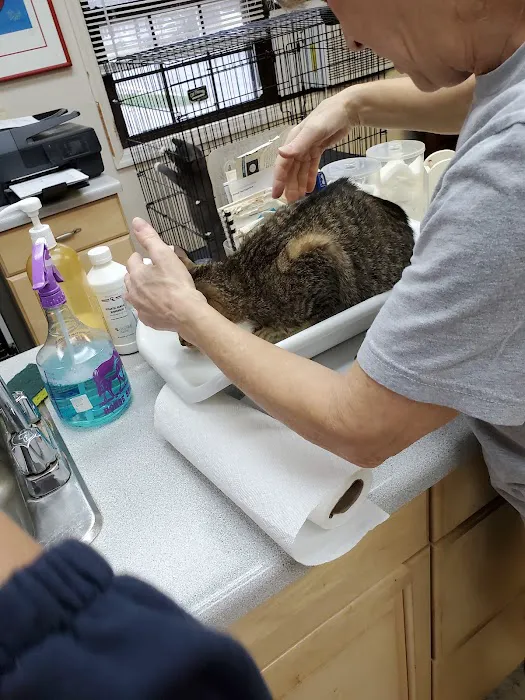Main Street Veterinary Clinic Picture 7