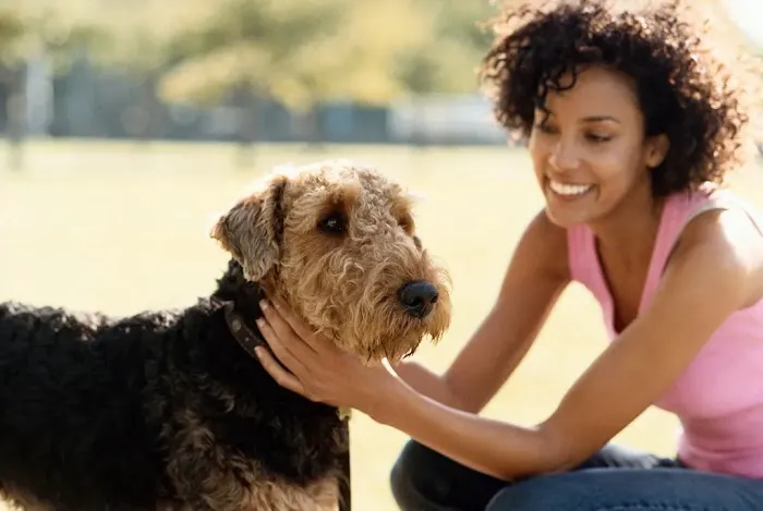 Fabulous Pet Boutique Picture 6