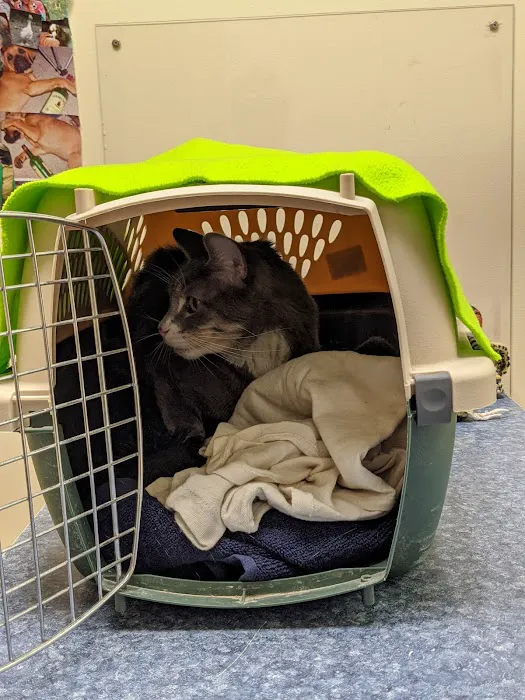 West End Veterinary Office Picture 5