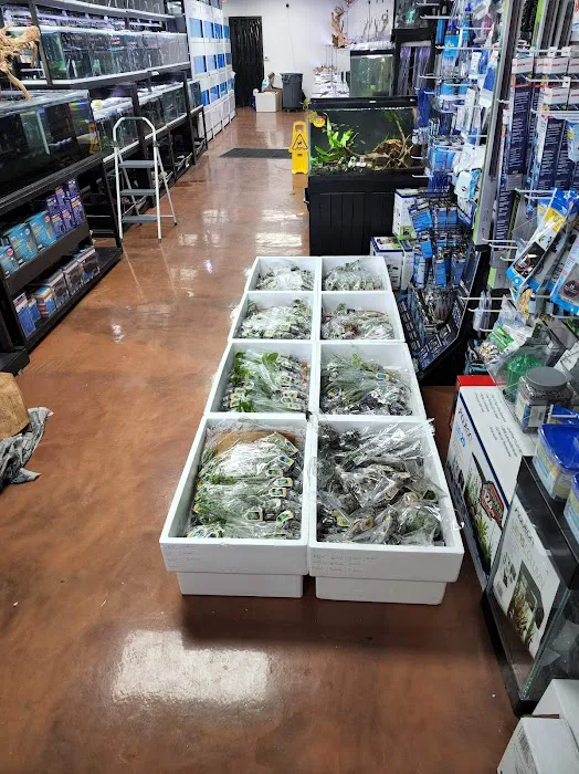 Your Pet Fish Picture 8