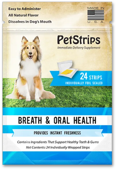 PetStrips Picture 3