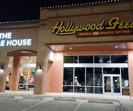 Hollywood Feed
