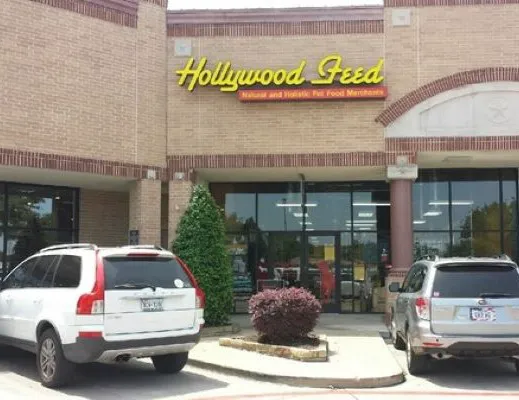 Hollywood Feed Picture 5