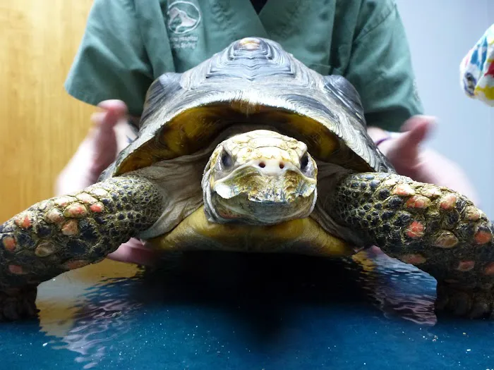 Animal Hospital of Cold Spring Picture 3