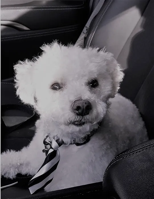 Hudson Highlands Veterinary Medical Group - Beacon Picture 7