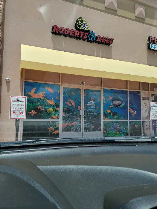 Robert's Reef Picture 2