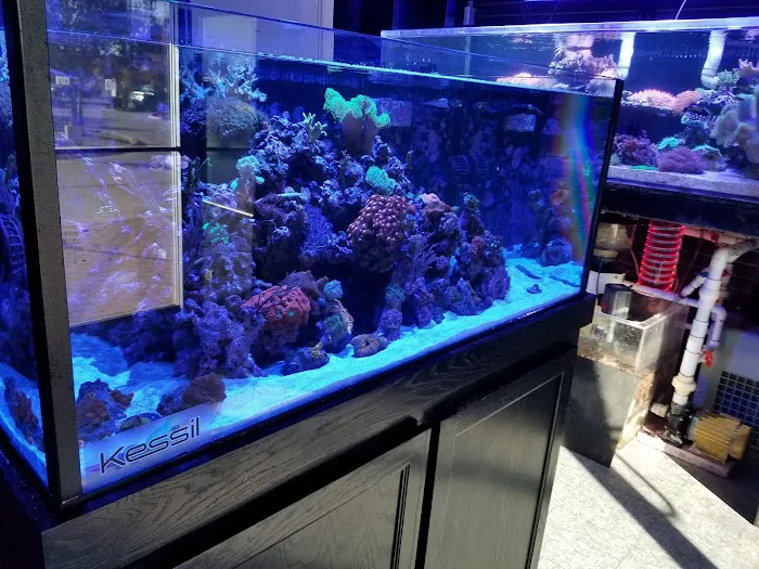 Robert's Reef Picture 6
