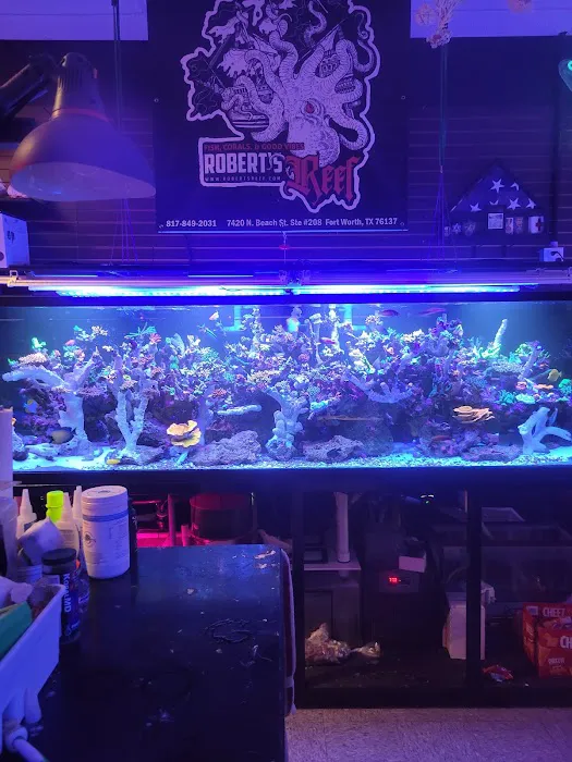 Robert's Reef Picture 9
