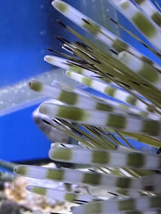 Robert's Reef Picture 8
