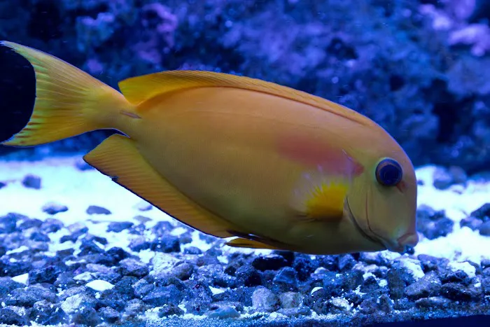 Robert's Reef Picture 10
