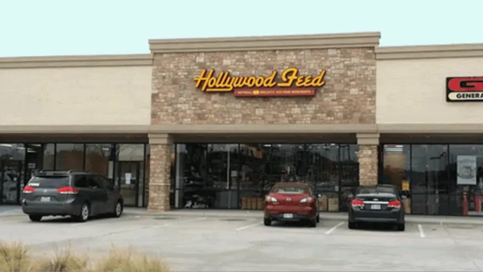 Hollywood Feed Picture 3