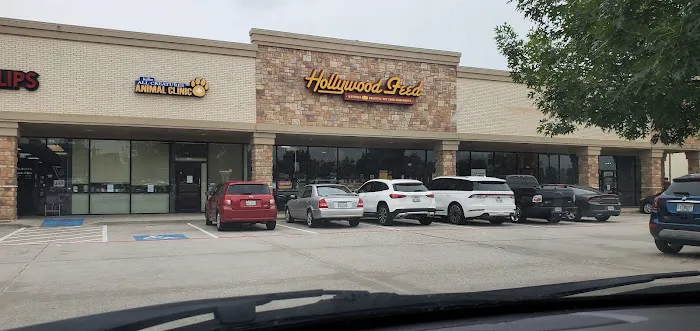 Hollywood Feed Picture 5