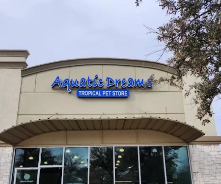 Aquatic Dreams