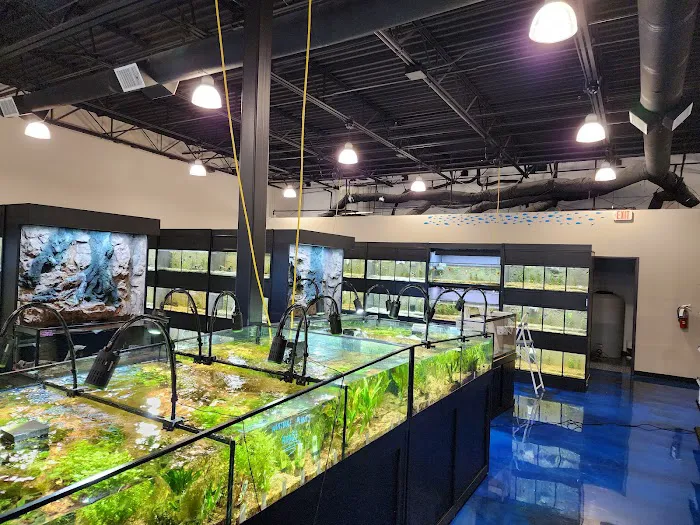 Aquatic Dreams Picture 6