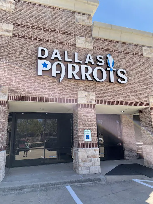 Dallas Parrots Picture 3