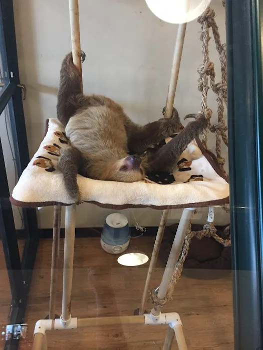EarthWise Pet Supply Picture 7