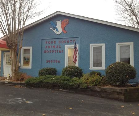 Four County Animal Hospital