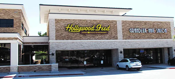 Hollywood Feed Picture 2
