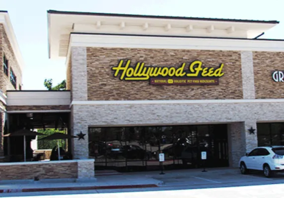 Hollywood Feed Picture 5