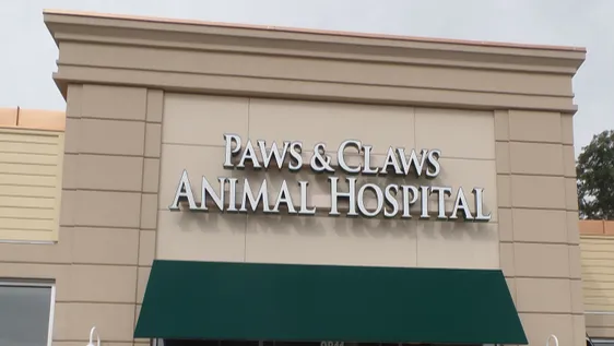 Paws and Claws Animal Hospital Picture 1