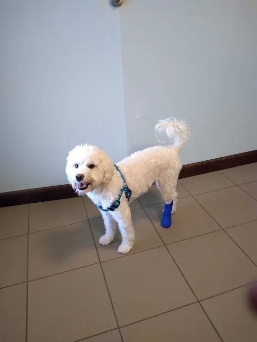 Paws and Claws Animal Hospital Picture 5