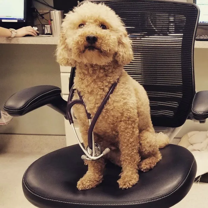 Paws and Claws Animal Hospital Picture 7