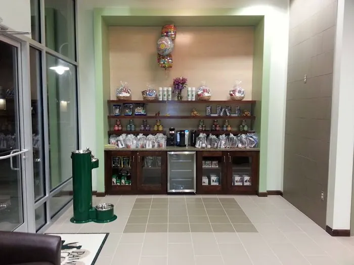 Paws and Claws Animal Hospital Picture 9