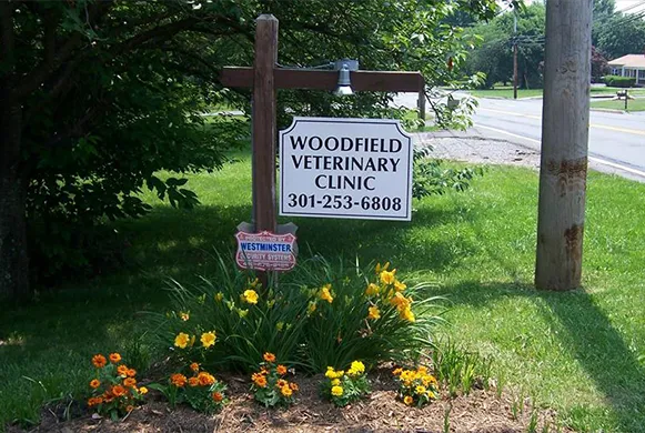 Woodfield Veterinary Clinic Picture 3
