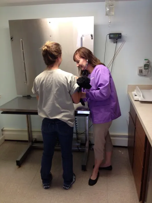 Woodfield Veterinary Clinic Picture 1