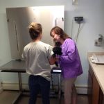 Woodfield Veterinary Clinic