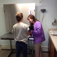 Woodfield Veterinary Clinic ico