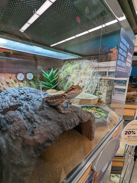 Petco Picture 5