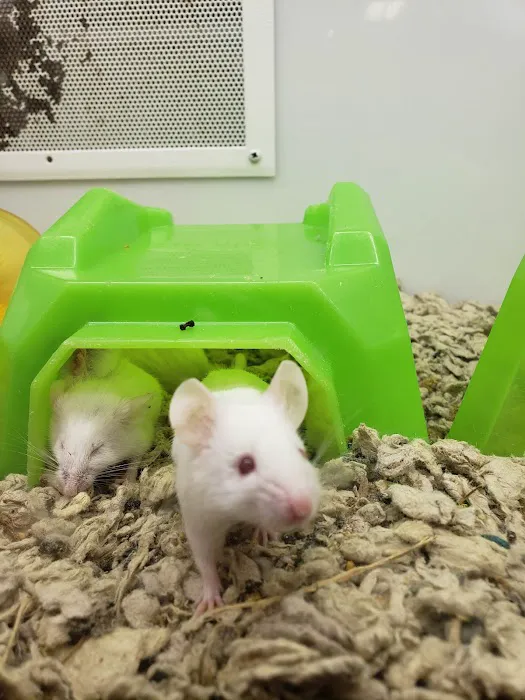 Petco Picture 8