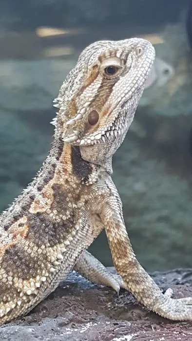 Petco Picture 7