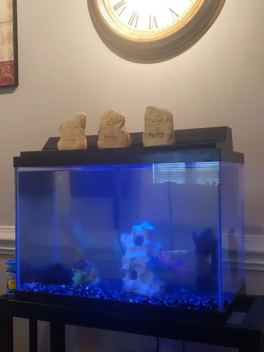 Petco Picture 10
