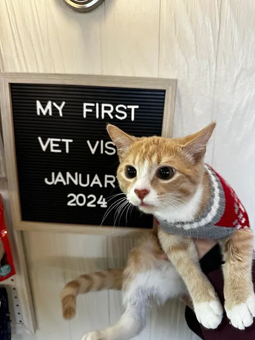 Damascus Veterinary Hospital Picture 1