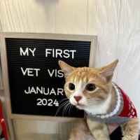 Damascus Veterinary Hospital ico