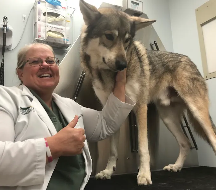 Green Valley Animal Hospital - Maryland Picture 3