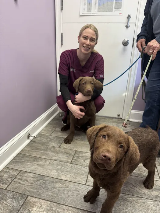 Green Valley Animal Hospital - Maryland Picture 5