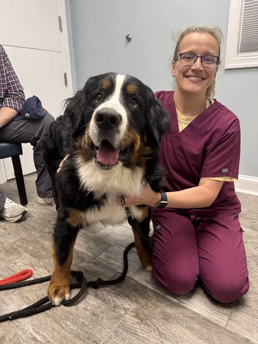 Green Valley Animal Hospital - Maryland Picture 4