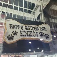 Three Dog Bakery ~ Alliance Ft. Worth ico