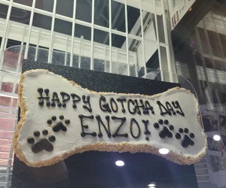 Three Dog Bakery ~ Alliance Ft. Worth