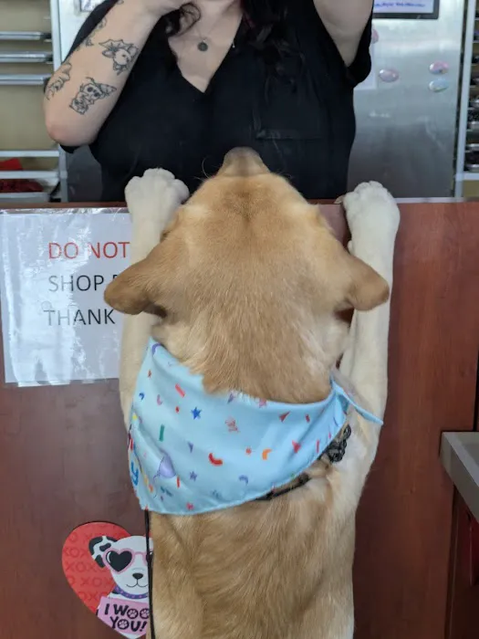 Three Dog Bakery ~ Alliance Ft. Worth Picture 2