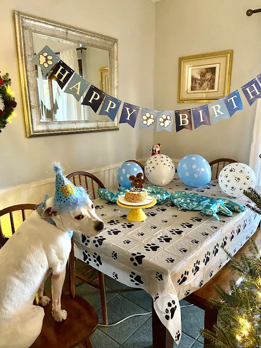Three Dog Bakery ~ Alliance Ft. Worth Picture 6