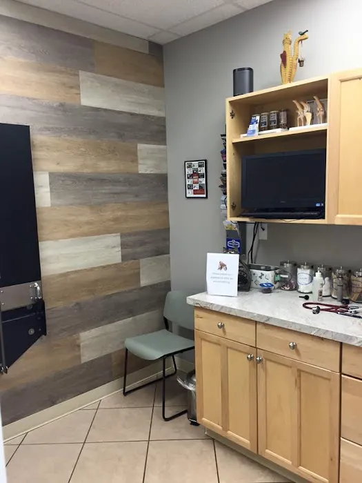 Triadelphia Veterinary Clinic Picture 1