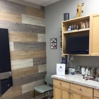 Triadelphia Veterinary Clinic ico