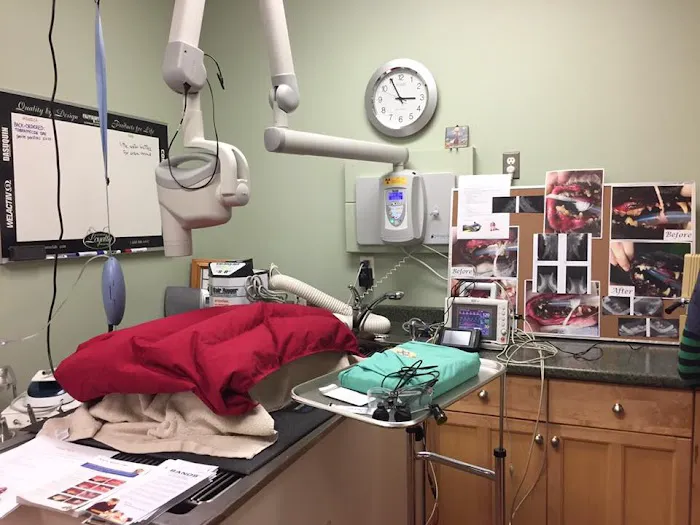 Triadelphia Veterinary Clinic Picture 5