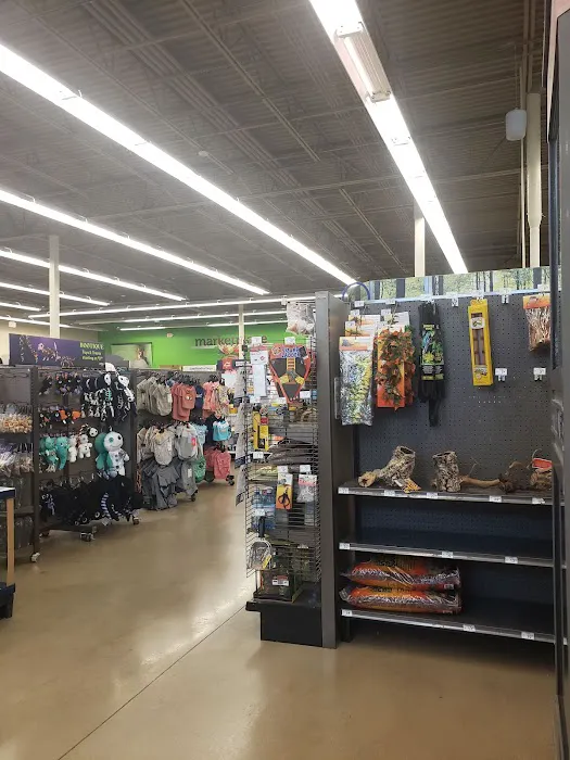 Petco Picture 2