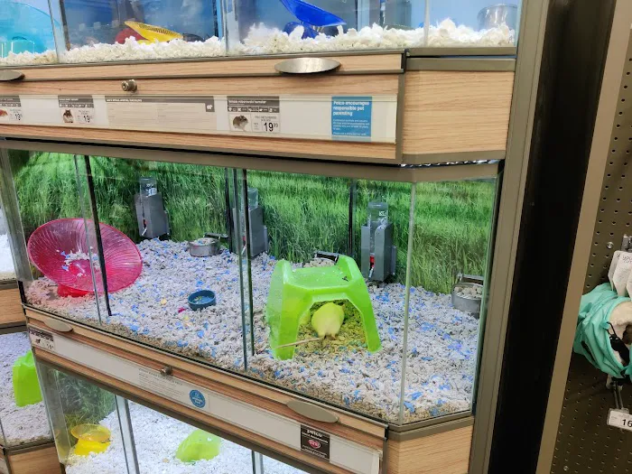 Petco Picture 1